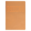 Koh-I-Noor Zeszyt Neon PP A4 42 Kartki 80g Kratka