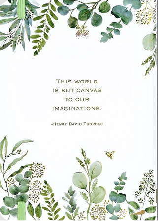 Peter Pauper Notatnik Mini Eucalyptus