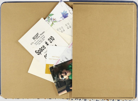 Peter Pauper Notatnik Mini Falling Blossoms