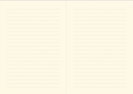 Peter Pauper Notatnik Maxi Poppies In Bloom