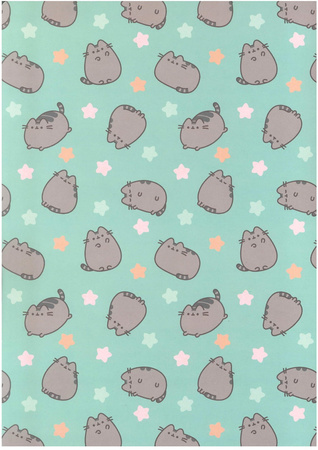 Pusheen Mint Teczka z Gumką A4 
