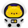 Gumka 3d Space Team