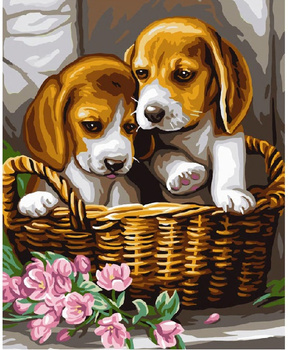 Malowanie Po Numerach Podobrazie 40x50 Cm Niki4 Pieski W Koszyku