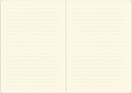 Peter Pauper Notatnik Mini Wildflower Garden