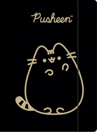PUSHEEN TECZKA Z GUMKĄ A4