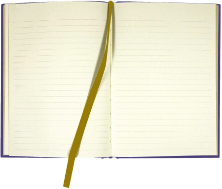 Peter Pauper Notatnik Maxi Versailles