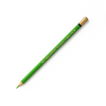 Koh-i-noor Kredka Mondeluz 3720/58 Light Green