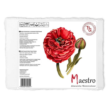 Papier Artystyczny Do Akwareli A4 400g 5a Cold Pressed 8014/Jaskier