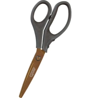 21 CM