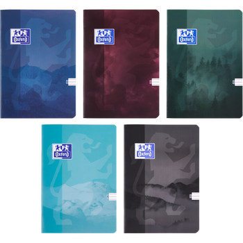 OXFORD ZESZYT A5 60K LINIA TEENAGER