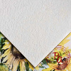 Papier Artystyczny Premium A4 280g 10a 70% Bawełny Cold Pressed 9014/Słoneczniki