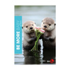 Be More Zeszyt A4 Baby Linia 96 Stron 100 G.