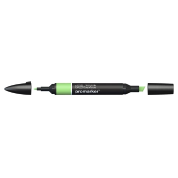 Winsor & Newton Promarker G338 Apple