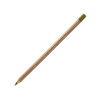 OLIVE OCHRE