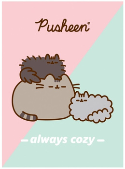 PUSHEEN ZESZYT KRATKA A4 32 K.