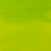 Talens Farba Akrylowa Amsterdam Standard 120ml 617 Yellowish Green 17096172