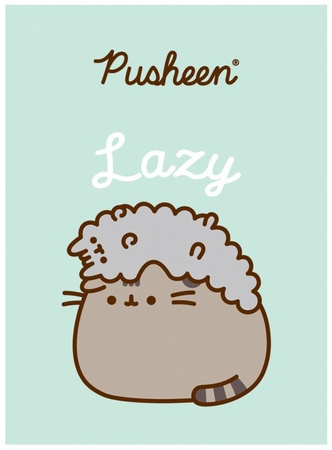 PUSHEEN ZESZYT KRATKA A4 32 K.