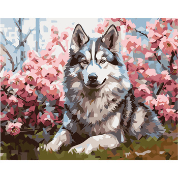 Malowanie Po Numerach Podobrazie 40x50 Cm Niki4 Pies