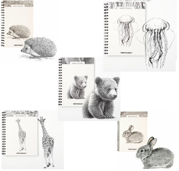 Narcissus Szkicownik B5 60k. Biały 120g. Na Spirali