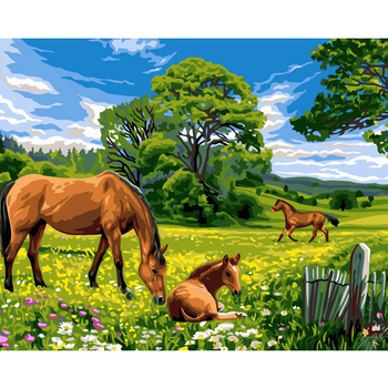 Malowanie Po Numerach Podobrazie 40x50 Cm Niki4 Konie Na Łące