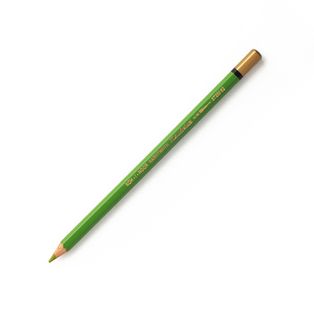 Koh-i-noor Kredka Mondeluz 3720/62 Apple Green