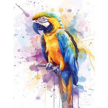 Malowanie Po Numerach Podobrazie 40x50 Cm Niki4 Papuga
