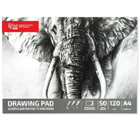 Rosa Studio Szkicownik, A4, 50 Ark., 120 G. Słoń