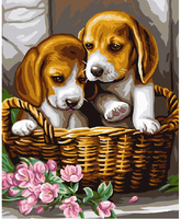 Malowanie Po Numerach Podobrazie 40x50 Cm Niki4 Pieski W Koszyku