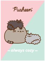 PUSHEEN ZESZYT KRATKA A4 32 K.